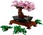 10281 LEGO® Creator Expert Bonsai fa