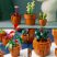 10329 LEGO® ICONS™ Apró cserepes növények