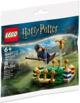 30651 LEGO® Harry Potter™ Kviddics™ edzés