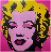 31197 LEGO® Art Andy Warhols Marilyn Monroe