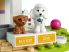 41691 LEGO® Friends Kutyus napközi