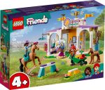 41746 LEGO® Friends Új lovasiskola