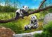 Playmobil Family Fun 70353 Panda család